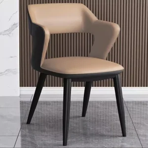 Ghế ăn Tựa lưng Ghế ăn Phòng khách Thiết kế Hiện đại Tay vịn Nhà bếp Tiện nghi Ghế Đơn Tân La Comedor Bàn Ghế sân vườn LJ50DC - Hình 2