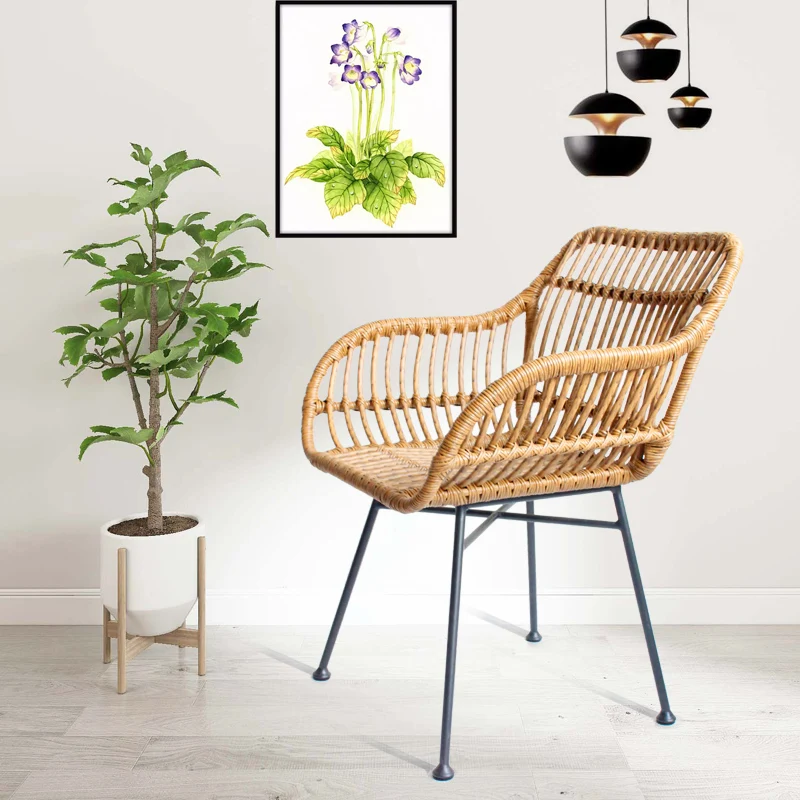 Ghế Ngoài Trời Mây Nhà Bếp Hiện Đại Tối Giản Giải Trí Phong cách Châu Âu Cho Nhà Bếp Thiết Kế Sân Vườn Bộ Ghế Ban Công Sân - Hình 3 Ghế Ngoài Trời Mây Nhà Bếp Hiện Đại Tối Giản Giải Trí Phong cách Châu Âu Cho Nhà Bếp Thiết Kế Sân Vườn Bộ Ghế Ban Công Sân - Hình 3
