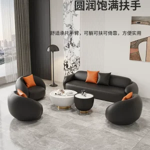 Ghế Sofa Phòng Khách Ý, Nhẹ Nhàng Sang Trọng, Sảnh Khách Sạn, Khu Vực Tiếp Khách, Tiếp Tân, Ghế Sofa Thẩm Mỹ Viện - Hình 5