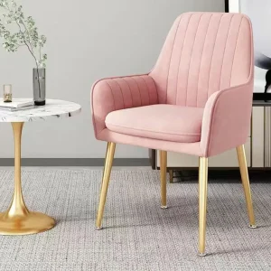 Miễn Phí Vận Chuyển Bắc Âu Ghế Giải Trí Phòng Ăn Phòng Khách Phòng Ngủ Tựa Lưng Ghế Trang Điểm Bàn Văn Phòng Máy Tính Ghế Bành