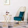 Phong Cách Bắc Âu Kim Loại Vàng Dây Sắt Ghế Giải Trí Ghế Sofa Phòng Khách Lười Ghế Hồng Ghế Cà Phê Nội Thất Trang Trí Hiện Đại