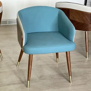 Sang Trọng Di Động Ghế Bắc Âu Vanity Tay Bedroo Văn Phòng Đọc Sách Phân Thoải Mái Ghế Bành Cá Nhân Ghế De Salon Nội Thất Gia Đình - Hình 2