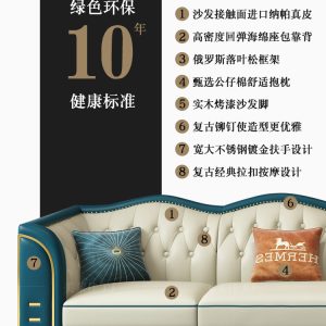 Sofa cao cấp nhập khẩu. - Hình 5