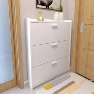 Tủ Đa Chức Năng Giá Tới Hạn Tủ Giày Cửa Nhỏ Tủ Giày Bảo Quản Chống Bụi Muebles Para El Hogar Nội Thất Gia Đình