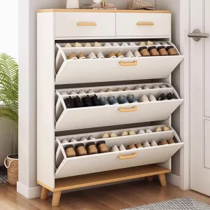 Tủ Đa Năng Thể Hiện Tủ Giày Nhà Hẹp KItaly Túc Xá Phòng Tắm Giày Có Thể Điều Chỉnh Hành Lang Porte Chaussures Nội Thất Phòng Khách - Hình 3