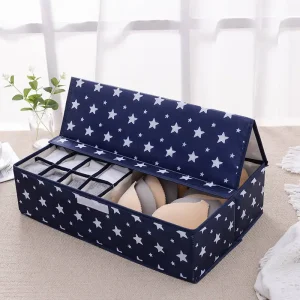 Tủ đồ Hộ Gia Đình Chống Bụi Hộp Bảo Quản Quần Lót Áo Ngực Tất Dây Hộp Chứa Đồ Chia Ngăn Kéo Tủ Quần Áo Hộp Có Nắp Tủ Quần Áo Organiz