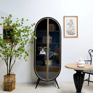 Tủ đồ Mỹ Vintage Đôi Mở Cửa Kính Tủ Trưng Bày Vòm Sắt Nghệ Thuật Tủ Sách Pháp Tủ Rượu Phòng Khách - Hình 4
