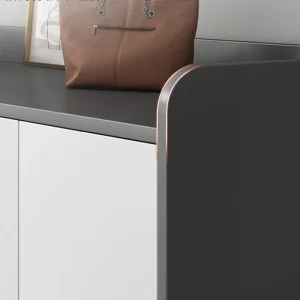 Tủ Đựng Giày Lớn Phòng Ngủ Lối Vào Phong Cách Châu Âu Giá Trưng Bày Hiện Đại Tủ Giày Mueble Zapatero Salon Nội Thất - Hình 4