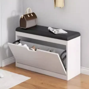 Tủ Giày Đơn Giản Nhật Bản Trưng Bày Phòng Khách Hiện Đại Giá Để Giày Trắng Hành Lang Thấp Tiết Kiệm Không Gian Sapateira Nội Thất Lối Vào - Hình 2