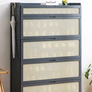Tủ Giày Móc Treo phong cách Châu Âu Hành Lang Giày Phòng Khách Muebles Para El Hogar Đồ Nội Thất - Hình 2