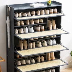 Tủ Giày Móc Treo phong cách Châu Âu Hành Lang Giày Phòng Khách Muebles Para El Hogar Đồ Nội Thất - Hình 3