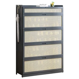 Tủ Giày Móc Treo phong cách Châu Âu Hành Lang Giày Phòng Khách Muebles Para El Hogar Đồ Nội Thất
