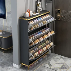 Tủ Giày Slim Armable Tiết Kiệm Không Gian Đa Năng Organizador De Zapatos Nội Thất Phòng Khách - Hình 3