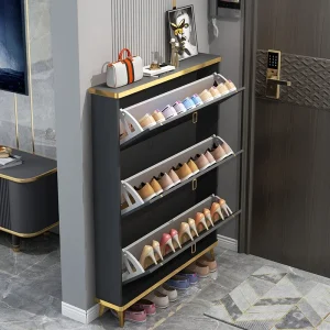 Tủ Giày Slim Armable Tiết Kiệm Không Gian Đa Năng Organizador De Zapatos Nội Thất Phòng Khách - Hình 4