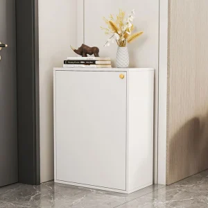 Tủ Giày Tối Giản Dọc Tiết Kiệm Không Gian Phân Vùng Phòng Khách Chaussures Giá Để Giày Nhiều Lớp Nội Thất Meuble - Hình 4