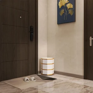 Tủ Hẹp Đựng Tủ Giày Trưng Bày Trang Trí Tủ Giày Tổ Chức Tiết Kiệm Không Gian Sapateira Nội Thất Gia Đình YX50SC - Hình 4