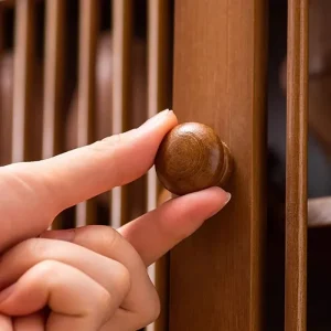 Tủ Hiện Đại Giá Đỡ Giày Tiết Kiệm Không Gian Đựng Tủ Quần Áo Phạm Vi Hiển Thị Tủ Giày Tổ Chức Scarpiera Hội Trường Đồ Nội Thất YX50SC - Hình 4