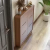Tủ Hiện Đại Lối Vào Giày Tủ Gỗ Designsnordic Tổ Chức Tủ Giày Trong Nhà Chống Bụi Szafka Na Buty Nội Thất Gia Đình