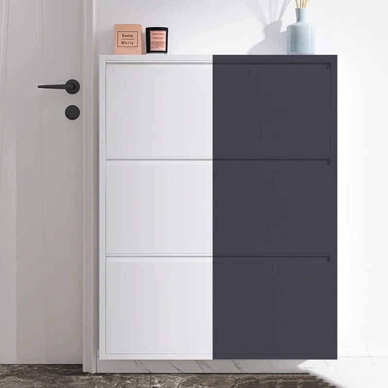 Tủ Kim Loại Hiện Đại Giày Treo Tường Phòng Khách Tủ Giày Sắp Xếp Organizador De Zapatos Nội Thất Hành Lang - Hình 3 Tủ Kim Loại Hiện Đại Giày Treo Tường Phòng Khách Tủ Giày Sắp Xếp Organizador De Zapatos Nội Thất Hành Lang - Hình 3