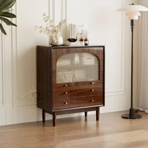 Tủ Ngăn Kéo Bảo Quản Tủ Phòng Khách Di Động Retro Thiết Kế Tủ Tivi Đa Năng phong cách Châu Âu Tiết Kiệm Không Gian Cajoneras Đồ Nội Thất - Hình 3