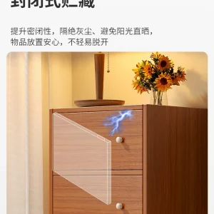 Tủ Ngăn Kéo Tủ Chứa Đồ Tủ Ngăn Kéo Phòng Ngủ Tường Phòng Khách Tủ Nhỏ Tủ Locker - Hình 3