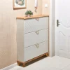 Tủ phong cách Châu Âu Cực Tủ Giày Nhà Tổ Chức Nghiêng Dọc Hiện Đại Hiện Đại Lối Vào Tủ Giày Zapateros Đồ Nội Thất