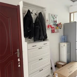 Tủ Thiết Kế phong cách Châu Âu Giày Ritation Hội Trường Hiện Đại Xoay Tủ Giày Kệ Hành Lang Meuble Một Chaussure Đồ Nội Thất - Hình 3