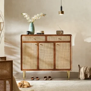 Tủ Vintage Gỗ Chắc Chắn Mây Tủ Giày Trung Cổ Phòng Khách Lối Vào Tủ Bảo Quản Hộ Gia Đình Tủ Bảo Quản Khóa - Hình 2